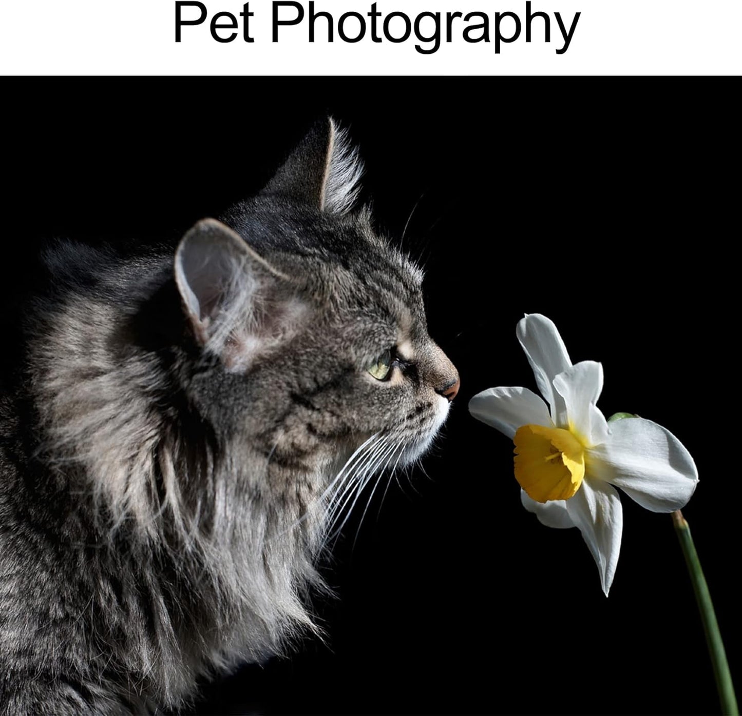 Selens Photography Backdrop PVC Food Background White Black 50x100CM Vinyl 2PCS Photo Studio Waterproof Kit for Product Props Flat Lay Cosmetic Jewelry Video Shooting